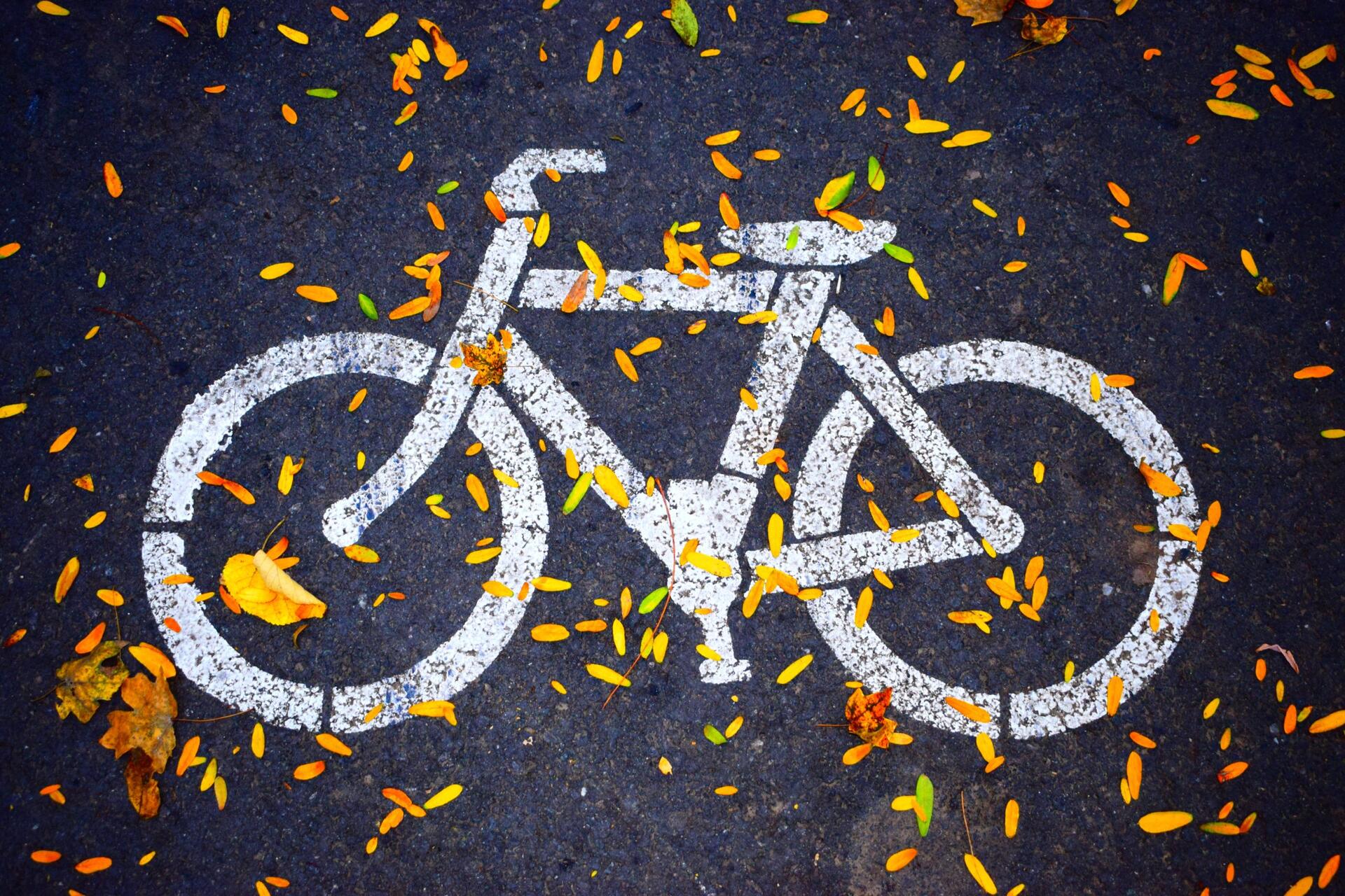 bike-amsterdam