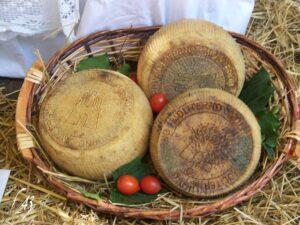 basket_of_canestrato_cheese_sicily