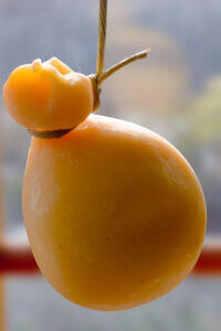 portion_of_provola_dei_nebrodi_sicily