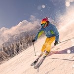 Traveler67845621879 Avatar