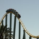 cafoxx Avatar